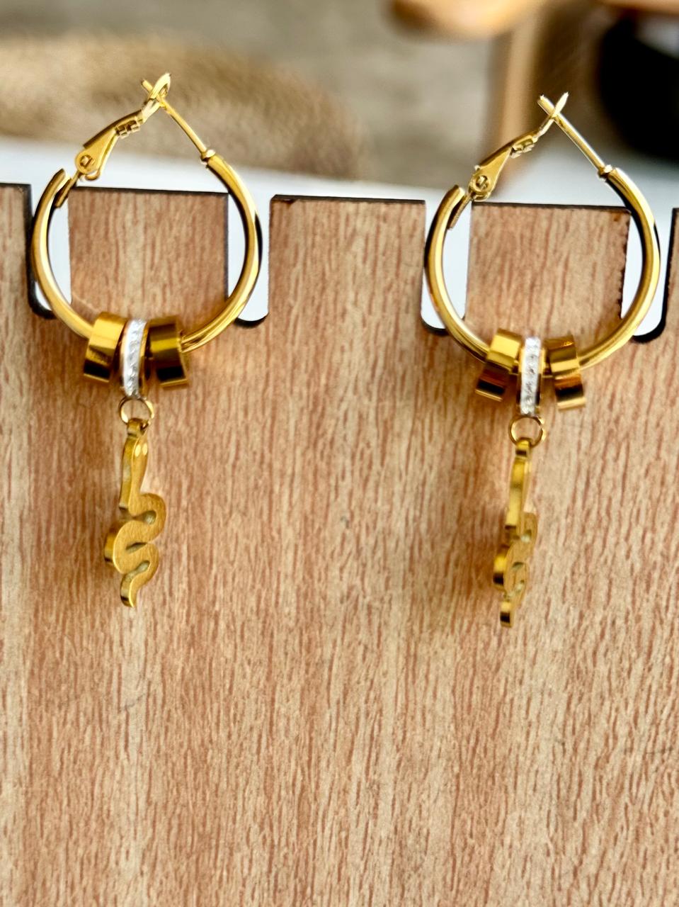 stainless steel earrings 4