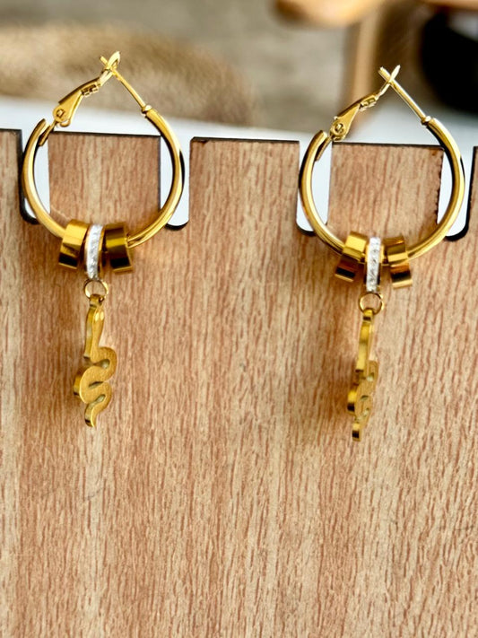 stainless steel earrings 4